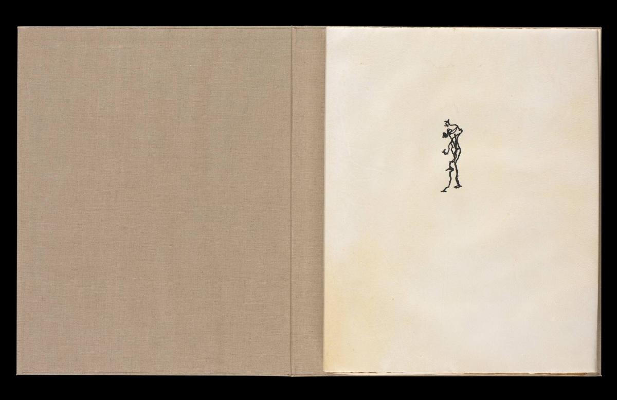 Maximiliana ou l'exercice illégal de l'astronomie: L´Art de voir de Guillame Temple