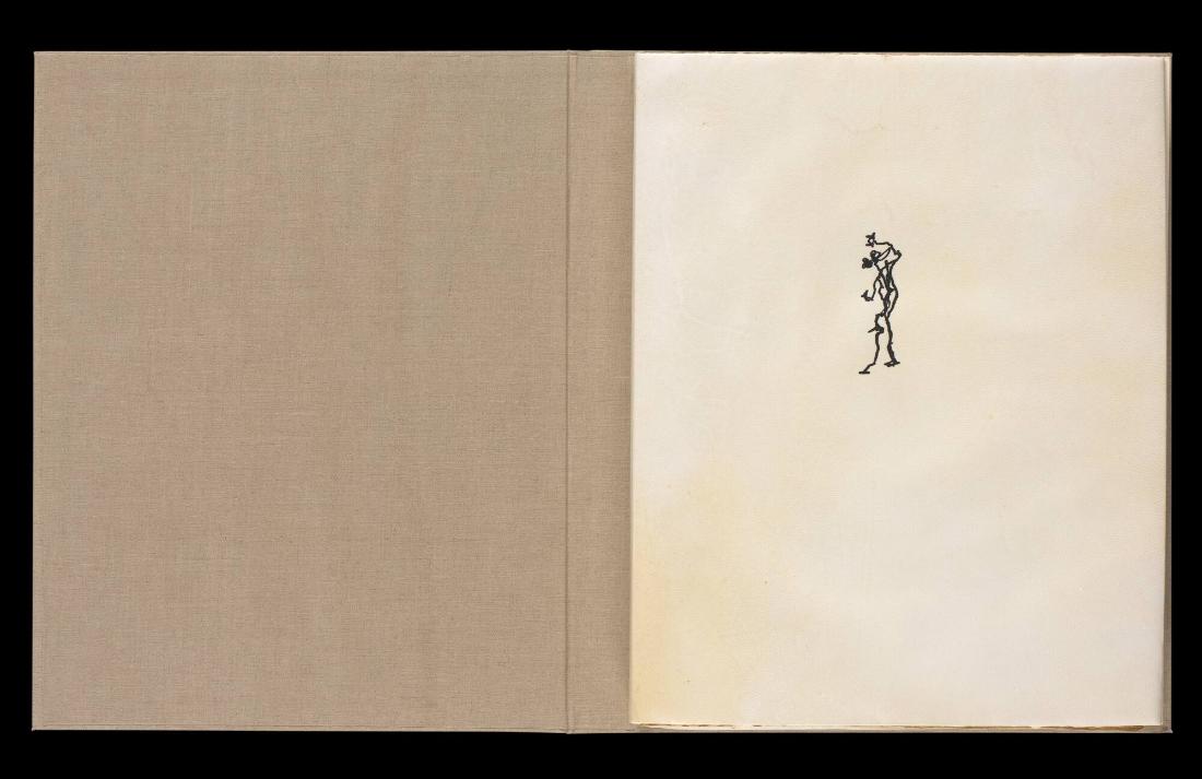 Maximiliana ou l'exercice illégal de l'astronomie: L´Art de voir de Guillame Temple