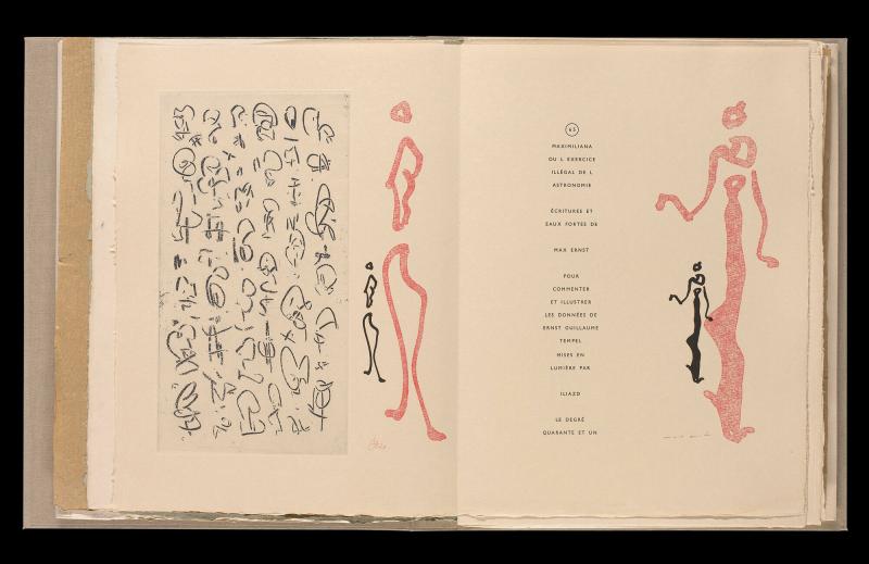 Maximiliana ou l'exercice illégal de l'astronomie: L´Art de voir de Guillame Temple. Ur boken "Maximiliana ou l'exercice illégal de l'astronomie: L´Art de voir de Guillame Temple"