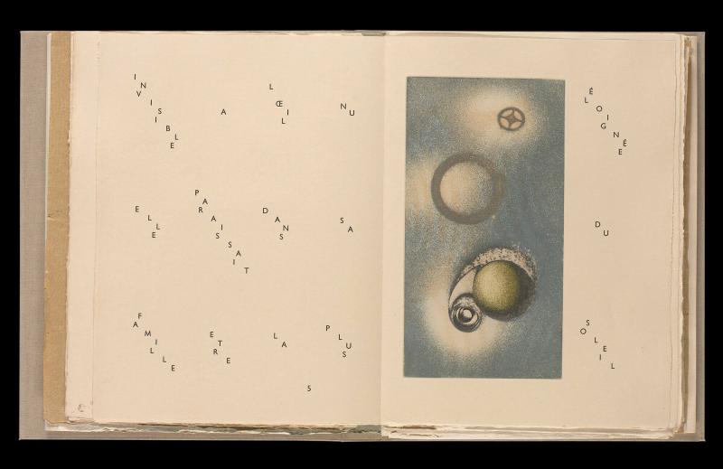 Maximiliana ou l'exercice illégal de l'astronomie: L´Art de voir de Guillame Temple