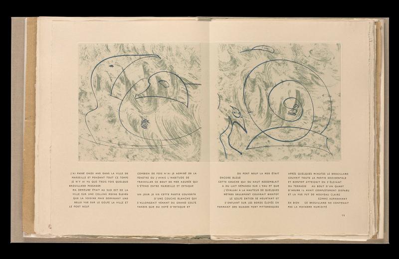 Maximiliana ou l'exercice illégal de l'astronomie: L´Art de voir de Guillame Temple. Ur boken "Maximiliana ou l'exercice illégal de l'astronomie: L´Art de voir de Guillame Temple"