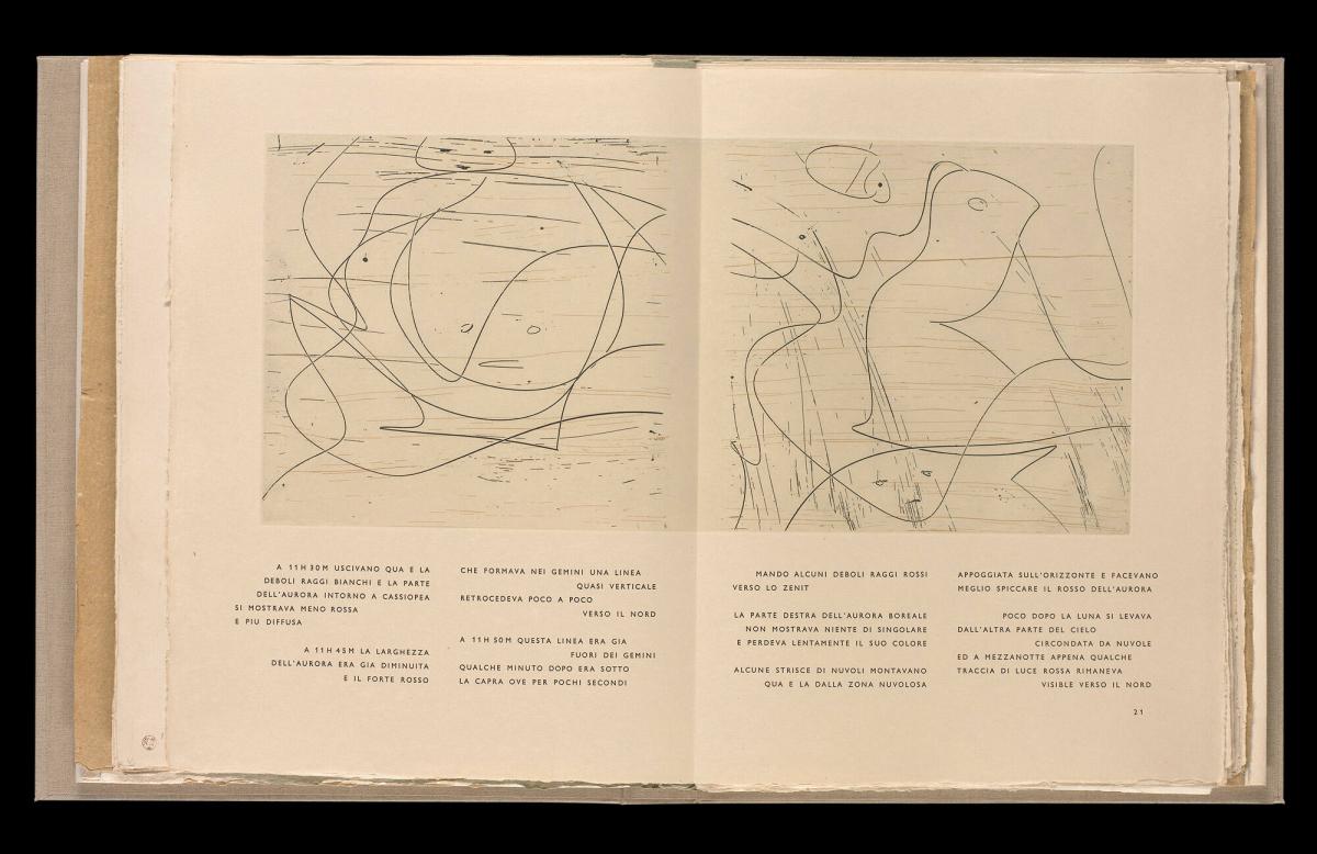 Maximiliana ou l'exercice illégal de l'astronomie: L´Art de voir de Guillame Temple. Ur boken "Maximiliana ou l'exercice illégal de l'astronomie: L´Art de voir de Guillame Temple"
