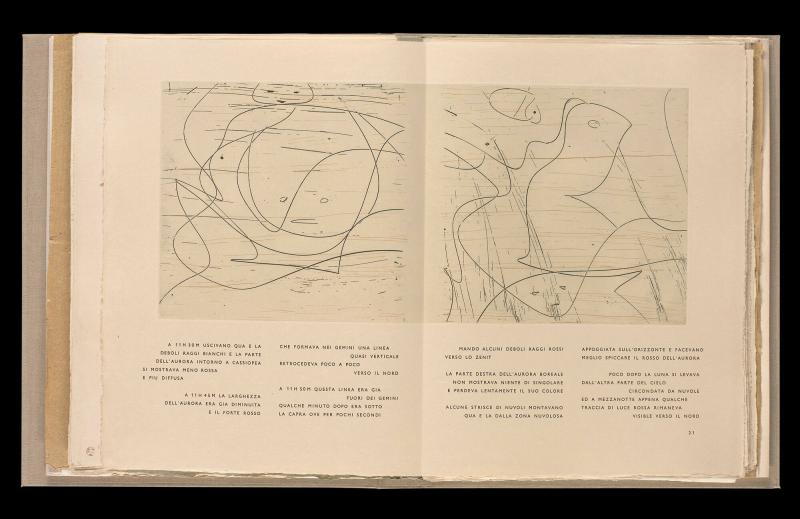 Maximiliana ou l'exercice illégal de l'astronomie: L´Art de voir de Guillame Temple. Ur boken "Maximiliana ou l'exercice illégal de l'astronomie: L´Art de voir de Guillame Temple"
