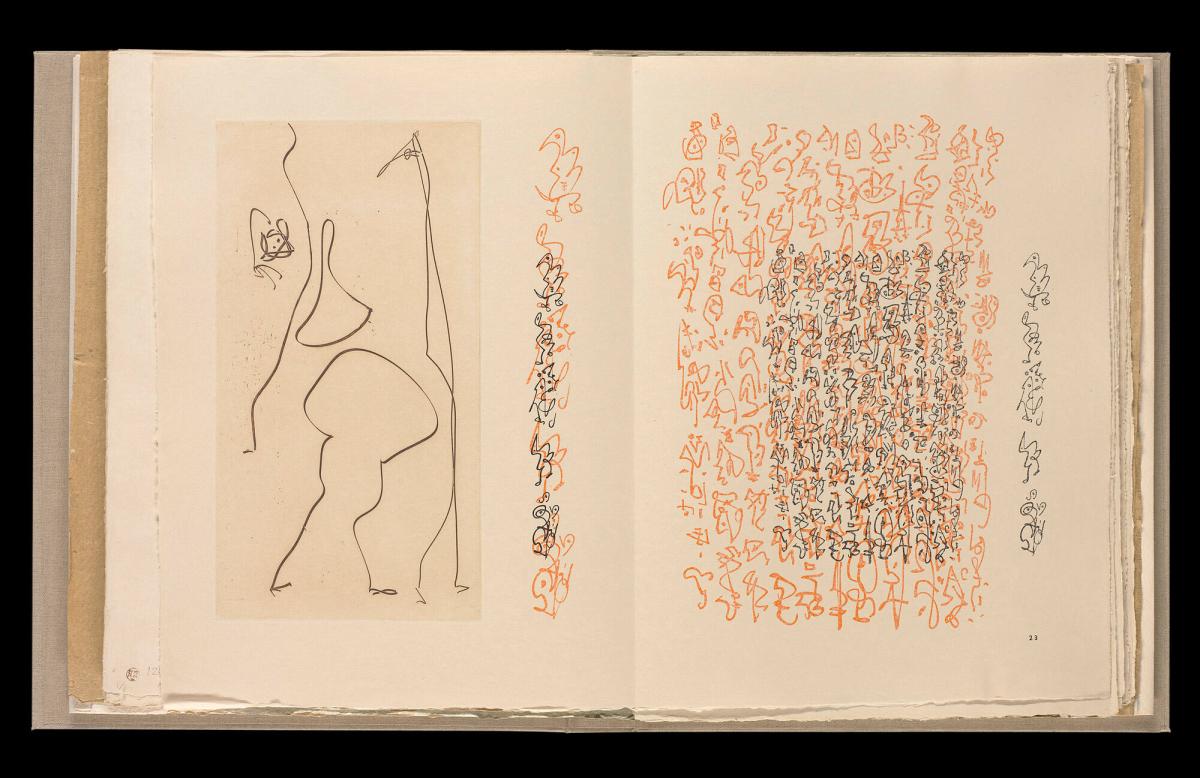 Maximiliana ou l'exercice illégal de l'astronomie: L´Art de voir de Guillame Temple. Ur boken "Maximiliana ou l'exercice illégal de l'astronomie: L´Art de voir de Guillame Temple"