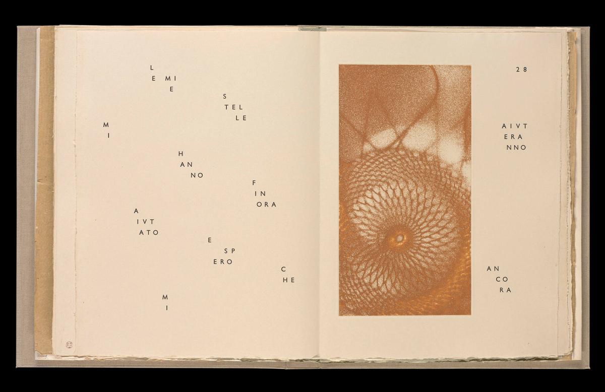 Maximiliana ou l'exercice illégal de l'astronomie: L´Art de voir de Guillame Temple. Ur boken "Maximiliana ou l'exercice illégal de l'astronomie: L´Art de voir de Guillame Temple"