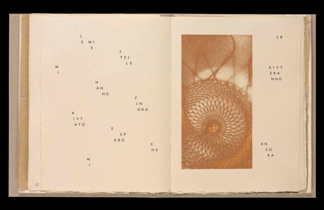 Maximiliana ou l'exercice illégal de l'astronomie: L´Art de voir de Guillame Temple. Ur boken "Maximiliana ou l'exercice illégal de l'astronomie: L´Art de voir de Guillame Temple"