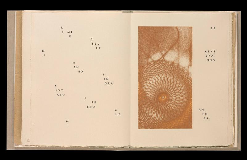 Maximiliana ou l'exercice illégal de l'astronomie: L´Art de voir de Guillame Temple. Ur boken "Maximiliana ou l'exercice illégal de l'astronomie: L´Art de voir de Guillame Temple"
