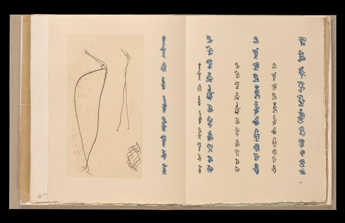 Maximiliana ou l'exercice illégal de l'astronomie: L´Art de voir de Guillame Temple. Ur boken "Maximiliana ou l'exercice illégal de l'astronomie: L´Art de voir de Guillame Temple"