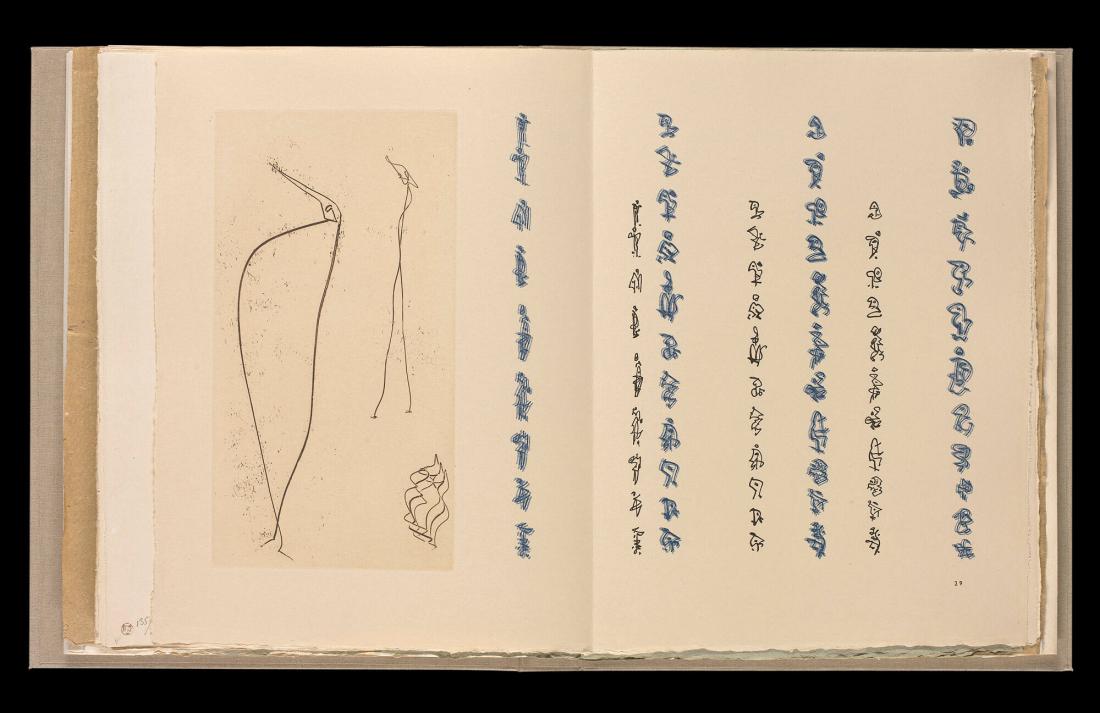 Maximiliana ou l'exercice illégal de l'astronomie: L´Art de voir de Guillame Temple. Ur boken "Maximiliana ou l'exercice illégal de l'astronomie: L´Art de voir de Guillame Temple"