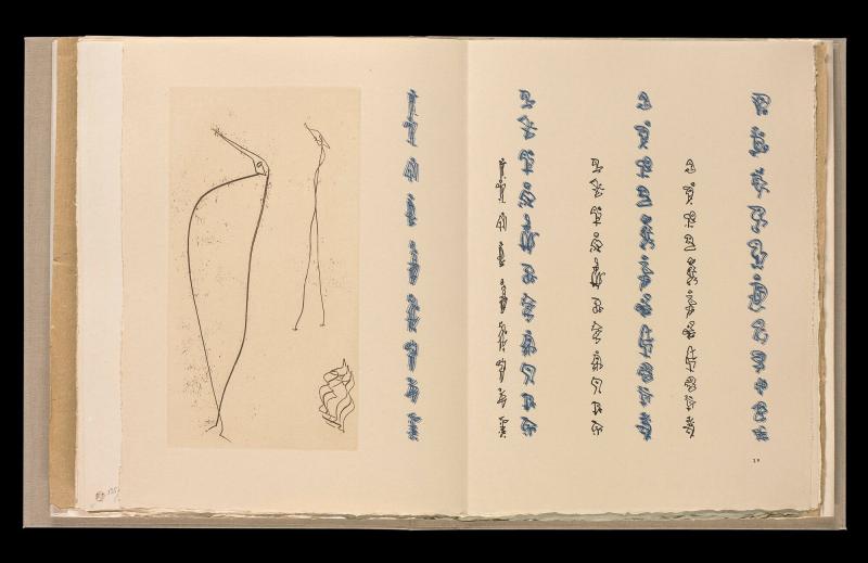Maximiliana ou l'exercice illégal de l'astronomie: L´Art de voir de Guillame Temple. Ur boken "Maximiliana ou l'exercice illégal de l'astronomie: L´Art de voir de Guillame Temple"