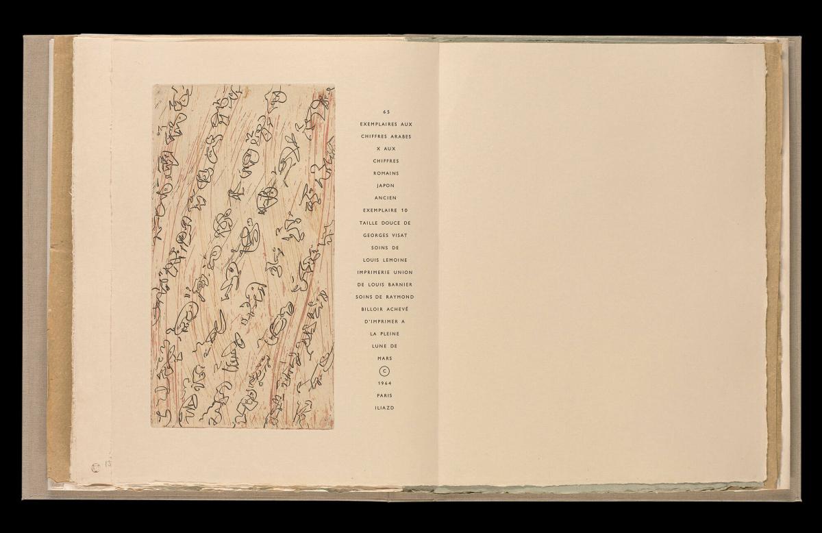 Maximiliana ou l'exercice illégal de l'astronomie: L´Art de voir de Guillame Temple. Ur boken "Maximiliana ou l'exercice illégal de l'astronomie: L´Art de voir de Guillame Temple"