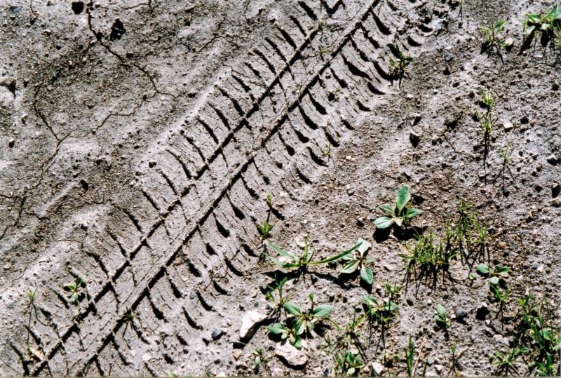 Pour un Malesherbs!...parlons de Milly-la-Fôret