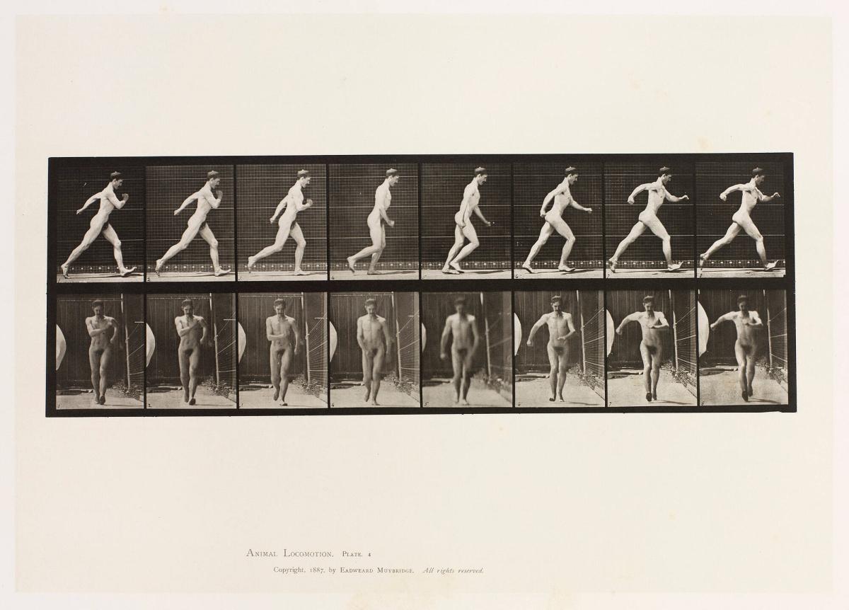 Animal Locomotion, plate 4. From the series Animal Locomotion 1872-1885 Plates University of Pennsylvania