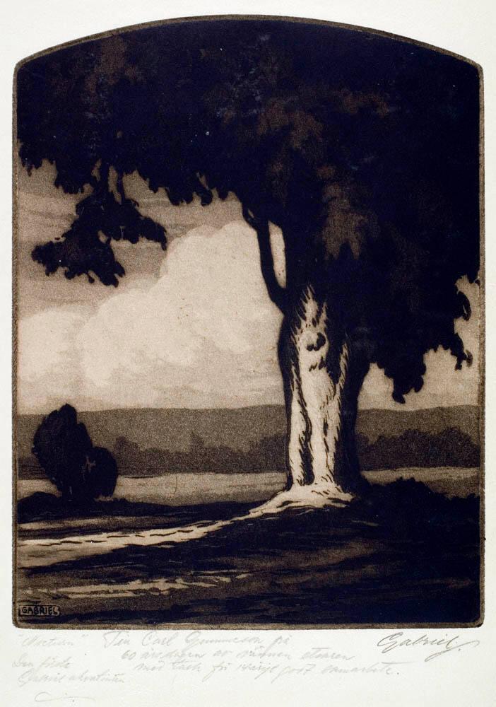 Nocturn