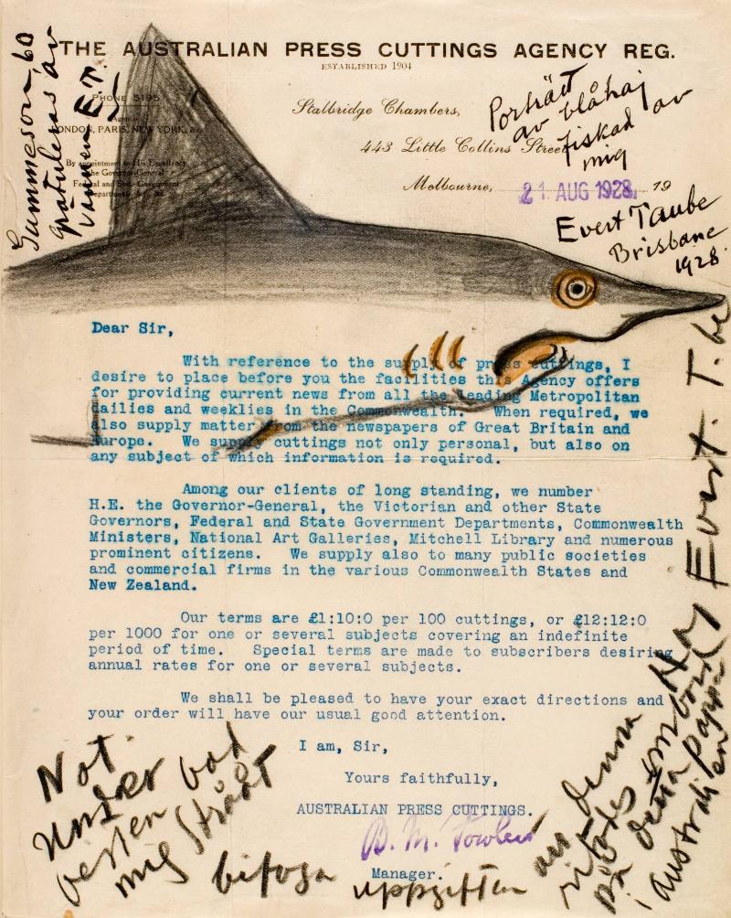 Porträtt av blåhaj fiskad av mig