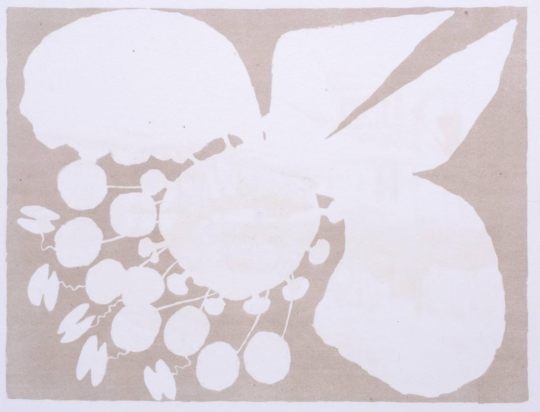 Hirundinoides - Fosterblomma