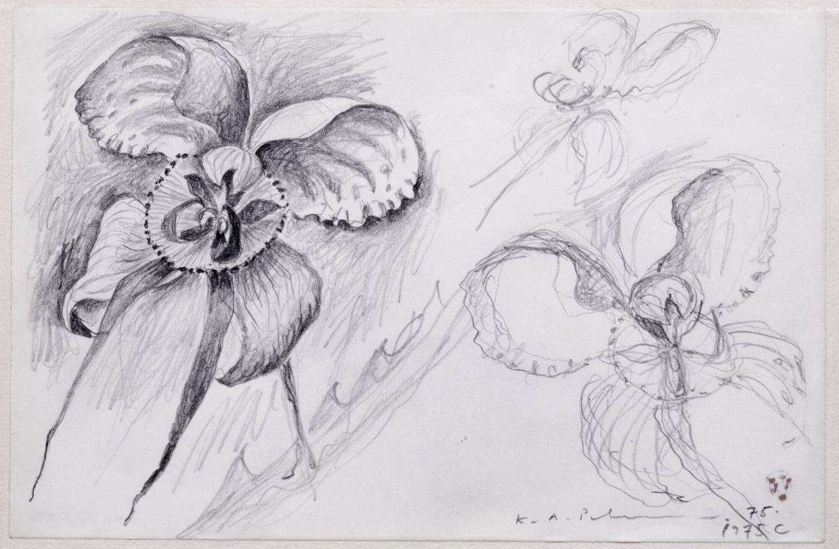 Blomsterstudie