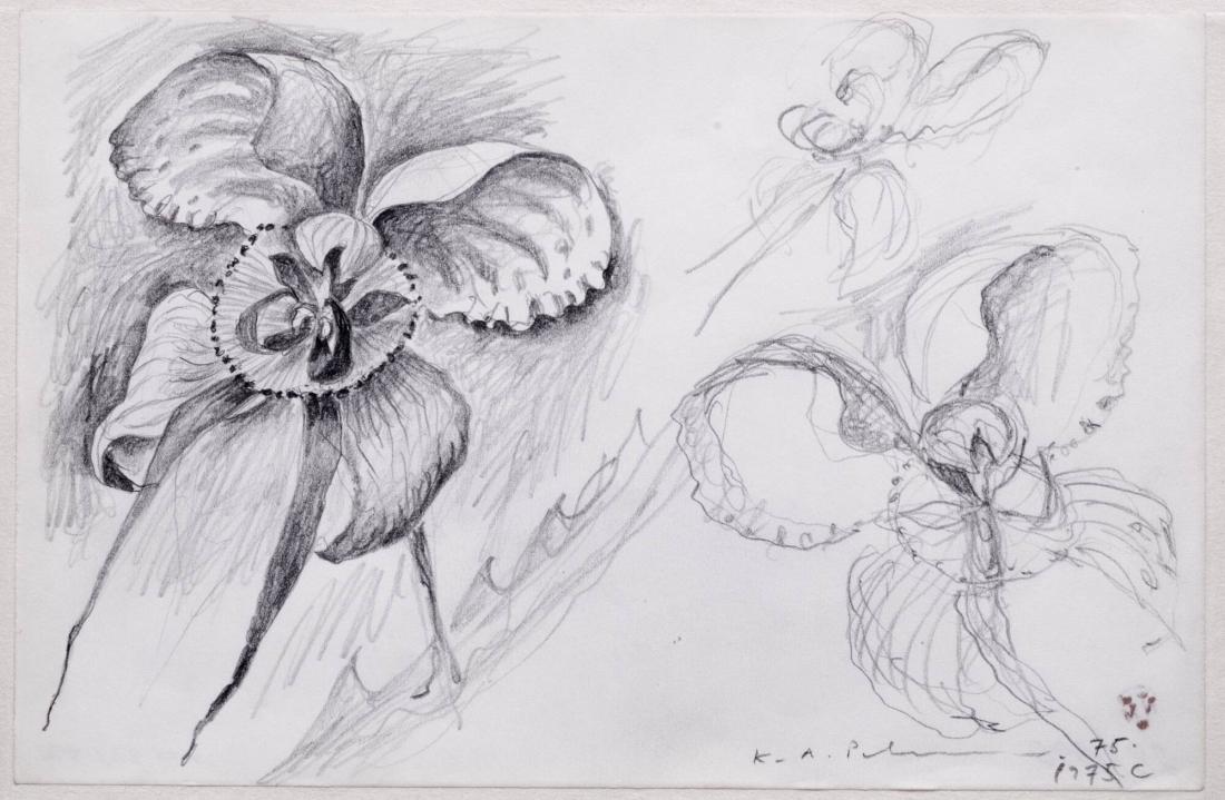 Blomsterstudie
