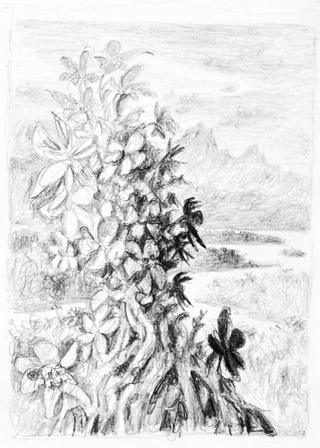 Blomstertornet