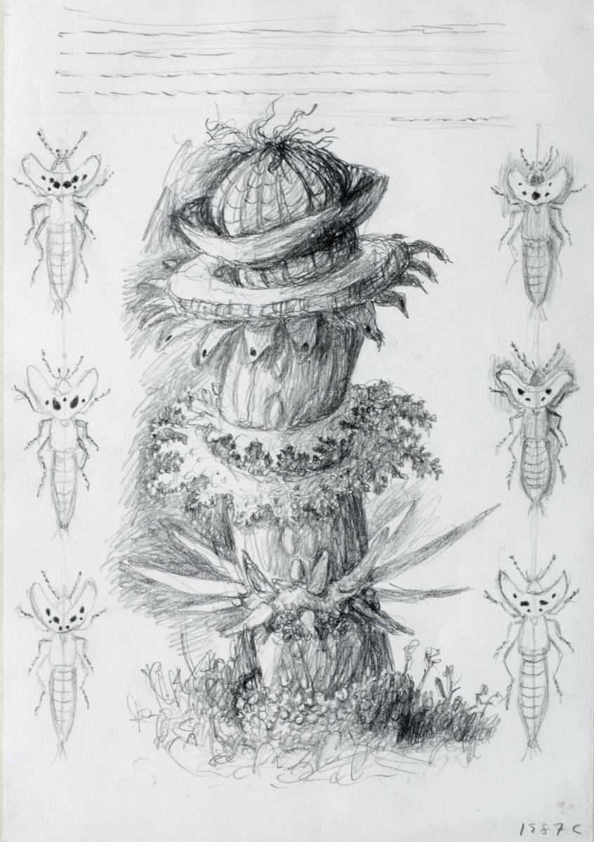 Växt samt studier till insekter
