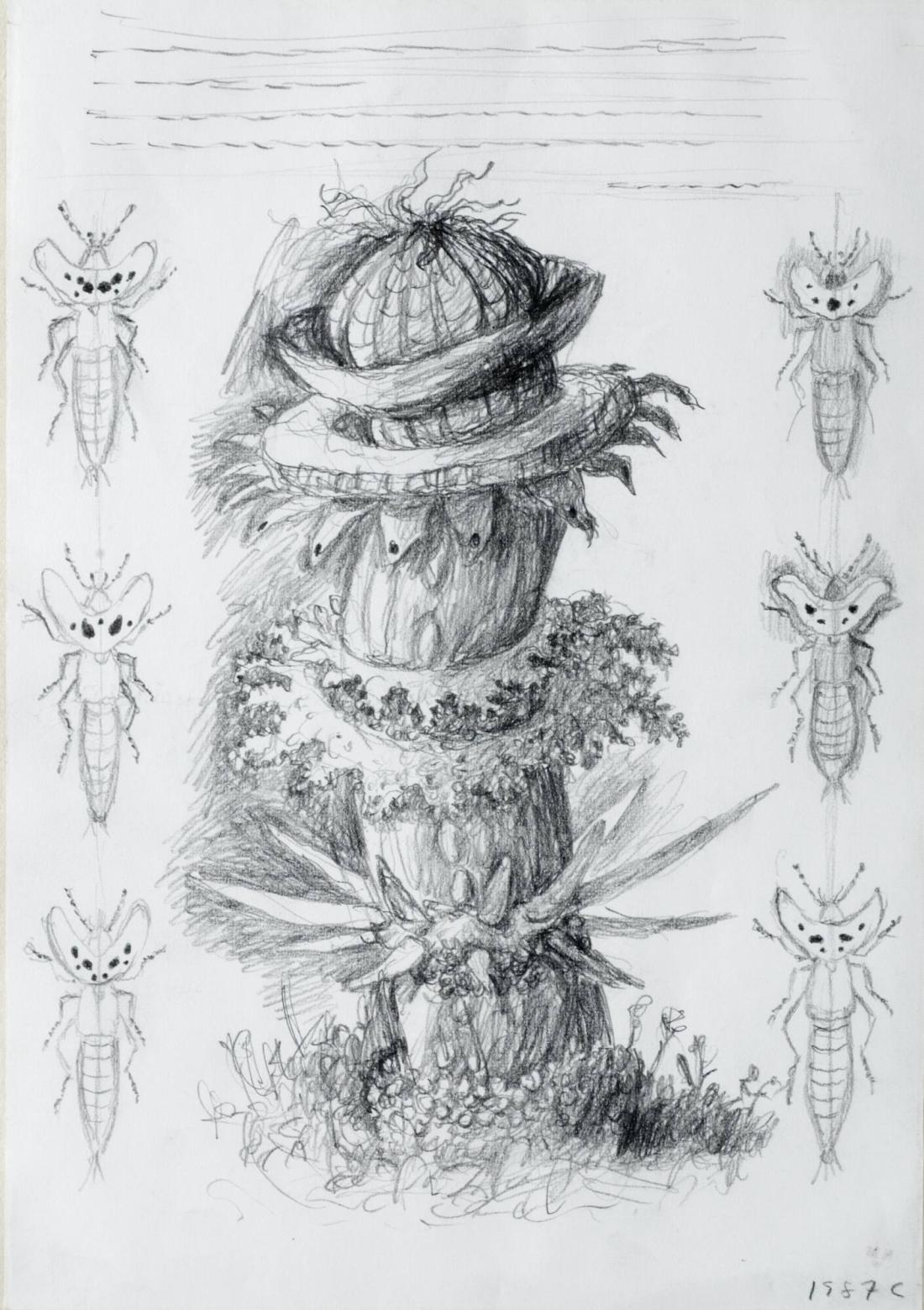 Växt samt studier till insekter