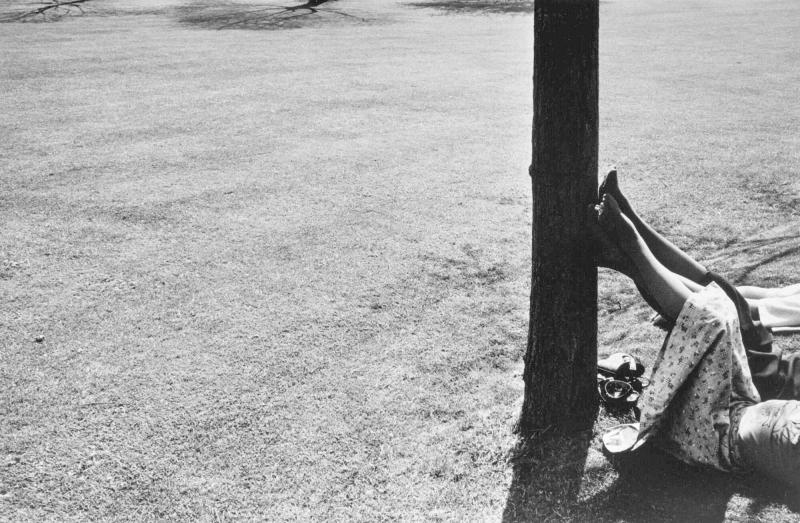 Girl's Legs Against Tree, Ashbourne