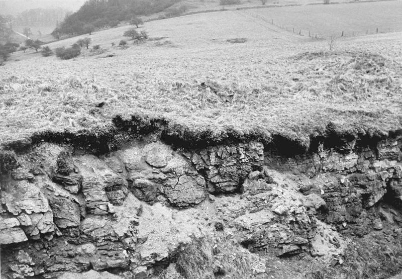 Lead Rake (Vein)