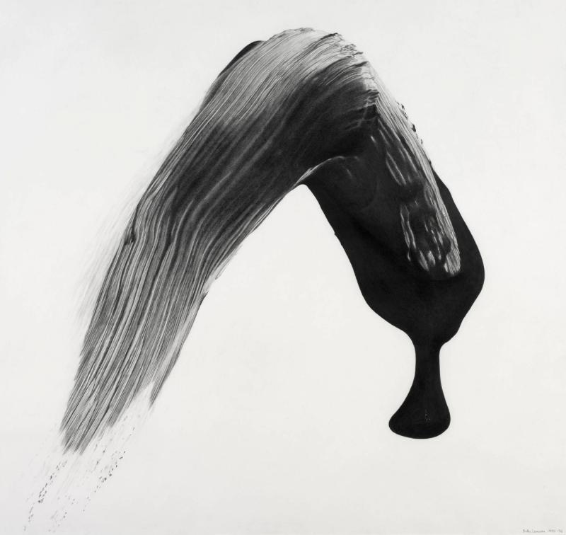 Nr 1, 1995-96
