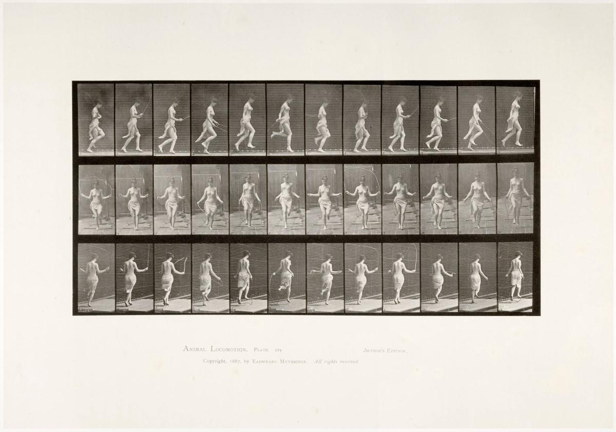 Animal Locomotion, plate 174. Ur serien Animal Locomotion by Eadweard Muybridge 1872-1885 Plates University of Pennsylvania