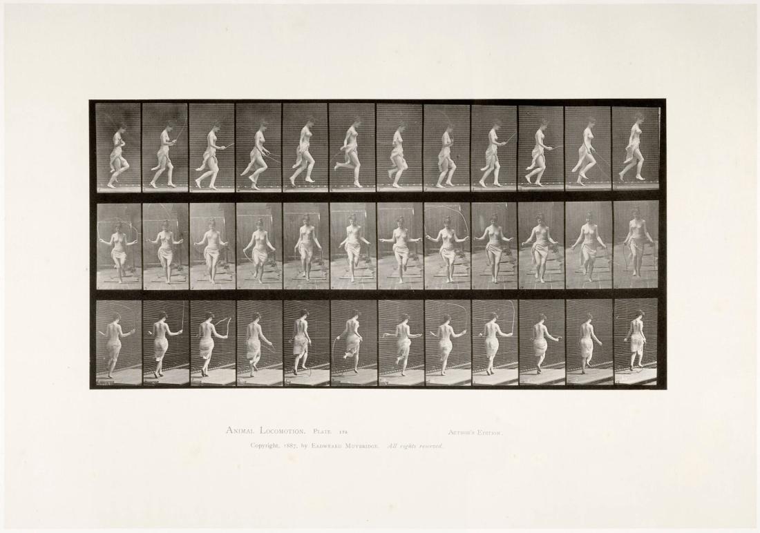 Animal Locomotion, plate 174. Ur serien Animal Locomotion by Eadweard Muybridge 1872-1885 Plates University of Pennsylvania