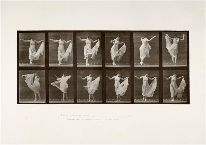 Animal Locomotion, plate 187. Ur serien Animal Locomotion by Eadweard Muybridge 1872-1885 Plates University of Pennsylvania