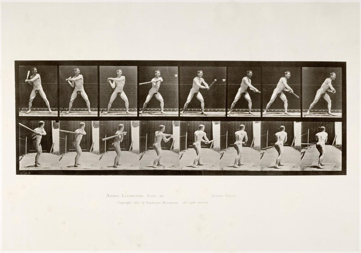 Animal Locomotion, plate 279. Ur serien Animal Locomotion by Eadweard Muybridge 1872-1885 Plates University of Pennsylvania