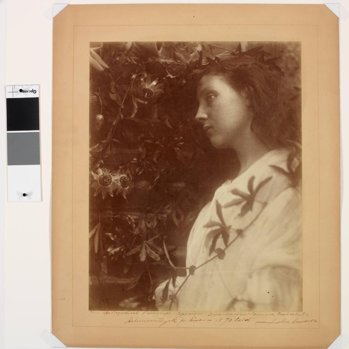 The Passion Flower at the Gate