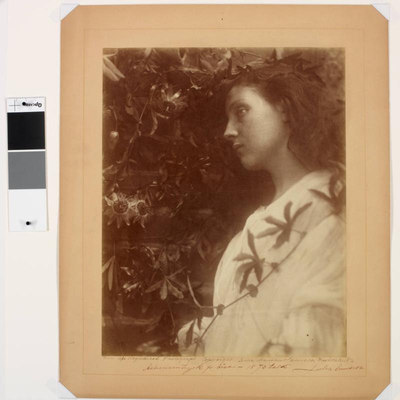 The Passion Flower at the Gate