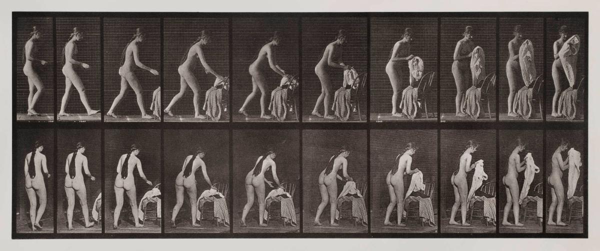 Animal Locomotion, plate 415. Ur serien Animal Locomotion by Eadweard Muybridge 1872-1885 Plates University of Pennsylvania