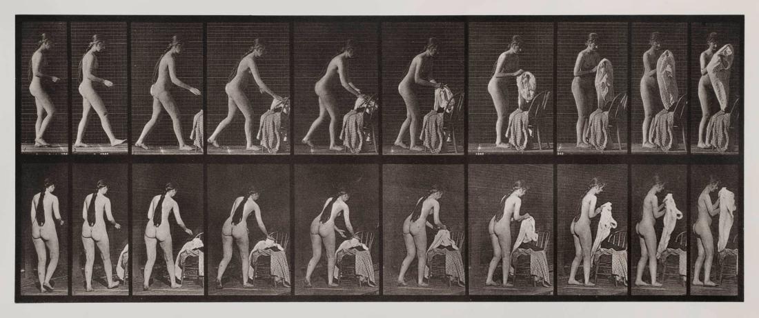 Animal Locomotion, plate 415. Ur serien Animal Locomotion by Eadweard Muybridge 1872-1885 Plates University of Pennsylvania