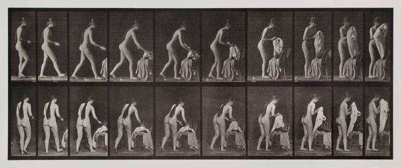 Animal Locomotion, plate 415. Ur serien Animal Locomotion by Eadweard Muybridge 1872-1885 Plates University of Pennsylvania