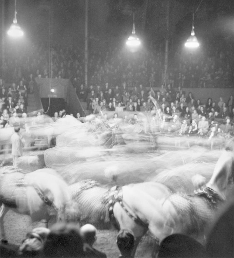 Atmosfär på cirkus
