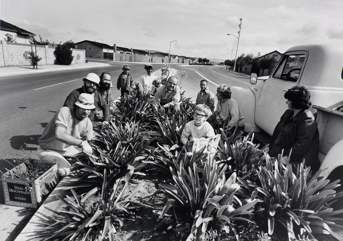 The best way to help your city government and have fun is to come out on a Saturday morning and pull weeds in a median strip. Ur serien Suburbia