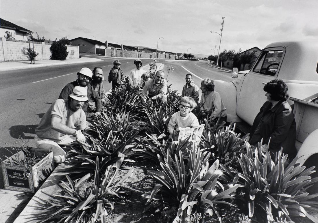 The best way to help your city government and have fun is to come out on a Saturday morning and pull weeds in a median strip. Ur serien Suburbia