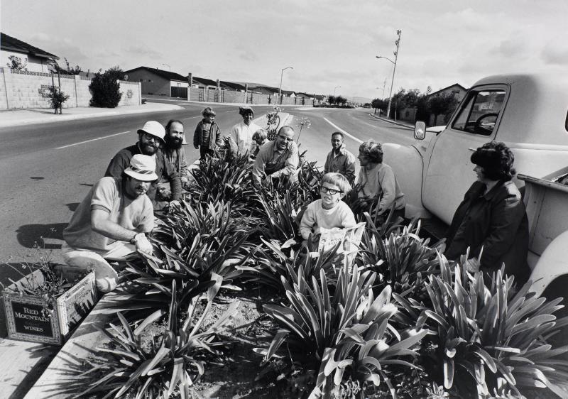 The best way to help your city government and have fun is to come out on a Saturday morning and pull weeds in a median strip. Ur serien Suburbia