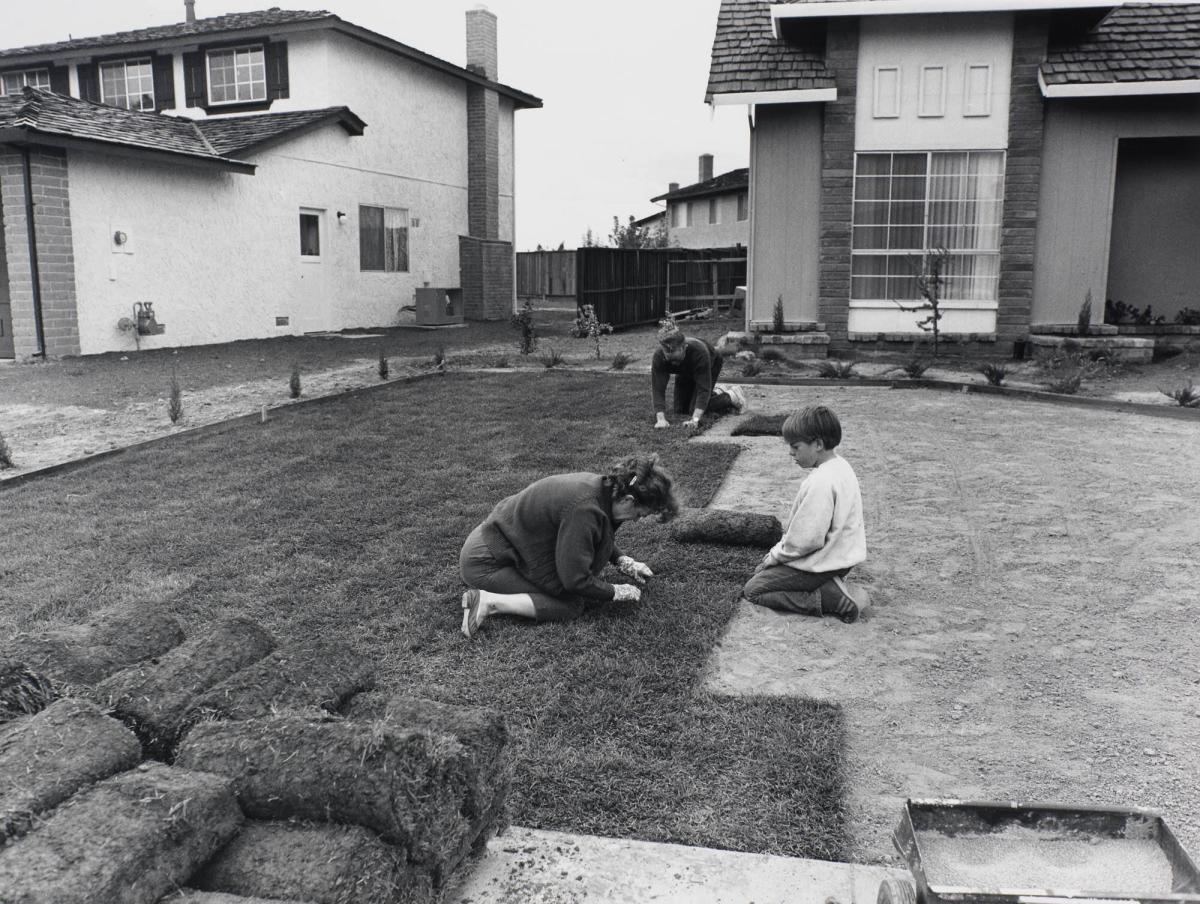 I bought the lawn in six-foot rolls. It's easy to handle. I prepard the ground and my wife and son helped roll out the grass. In one day you have a front yard. From the series Suburbia