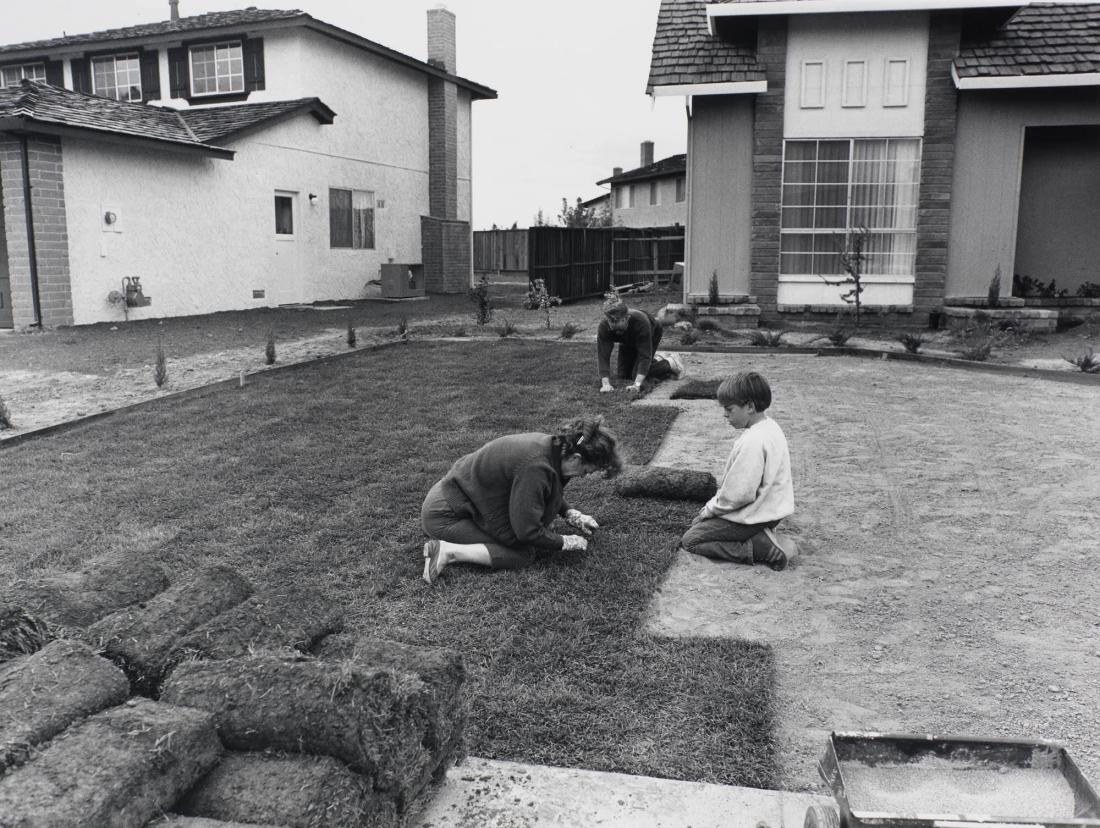 I bought the lawn in six-foot rolls. It's easy to handle. I prepard the ground and my wife and son helped roll out the grass. In one day you have a front yard. From the series Suburbia
