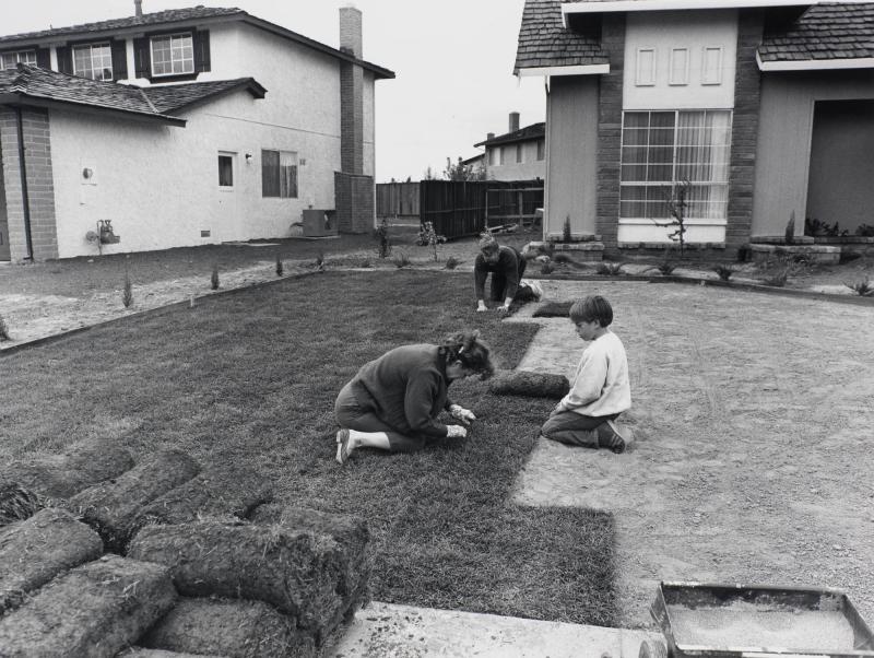 I bought the lawn in six-foot rolls. It's easy to handle. I prepard the ground and my wife and son helped roll out the grass. In one day you have a front yard. From the series Suburbia