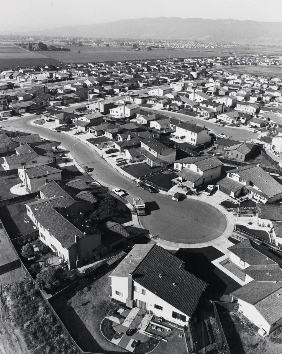 I enjoy cooking, dogs, cats, kids, soccer, and living here. From the series Suburbia