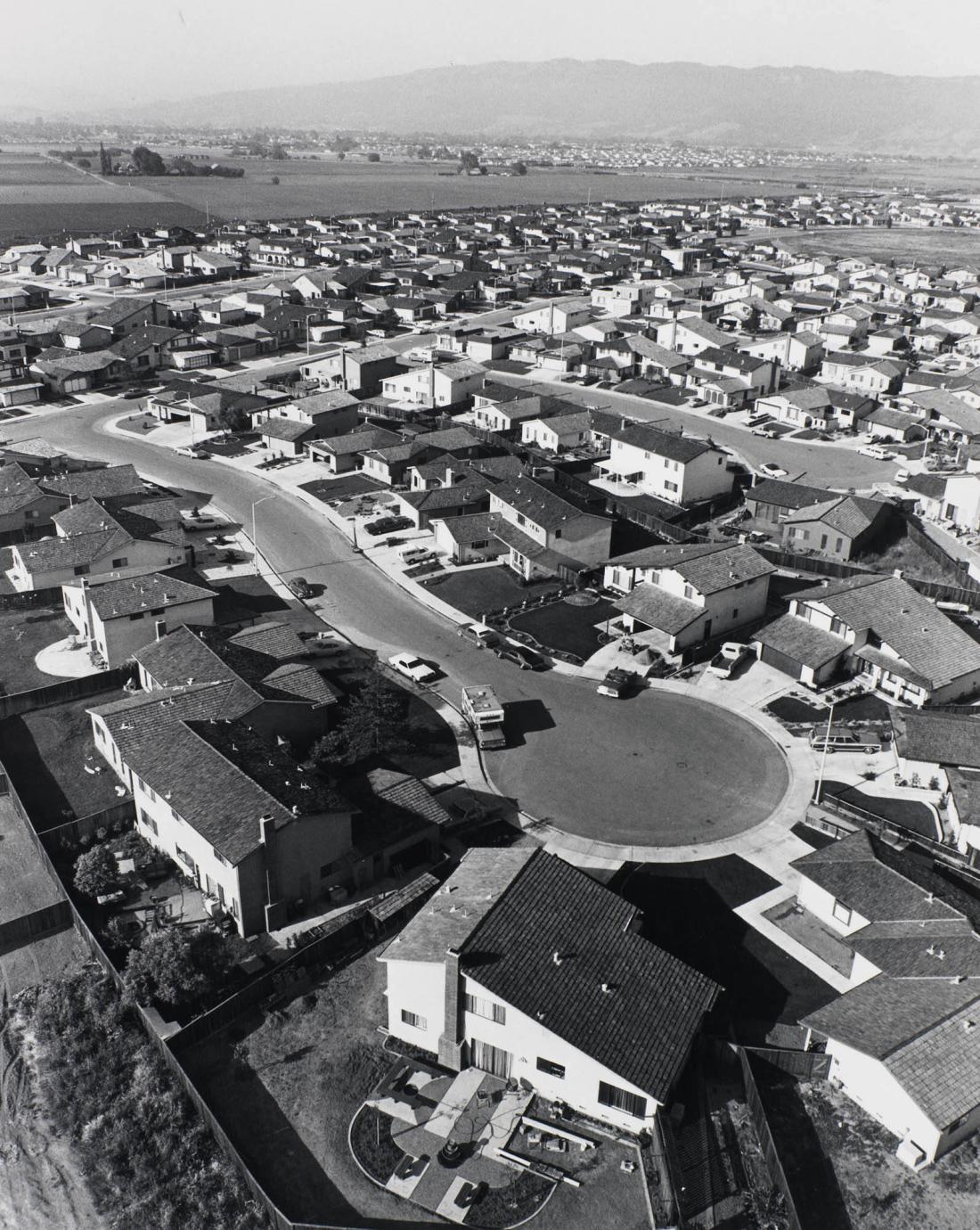 I enjoy cooking, dogs, cats, kids, soccer, and living here. From the series Suburbia