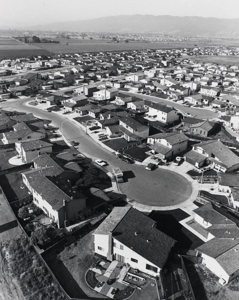 I enjoy cooking, dogs, cats, kids, soccer, and living here. From the series Suburbia
