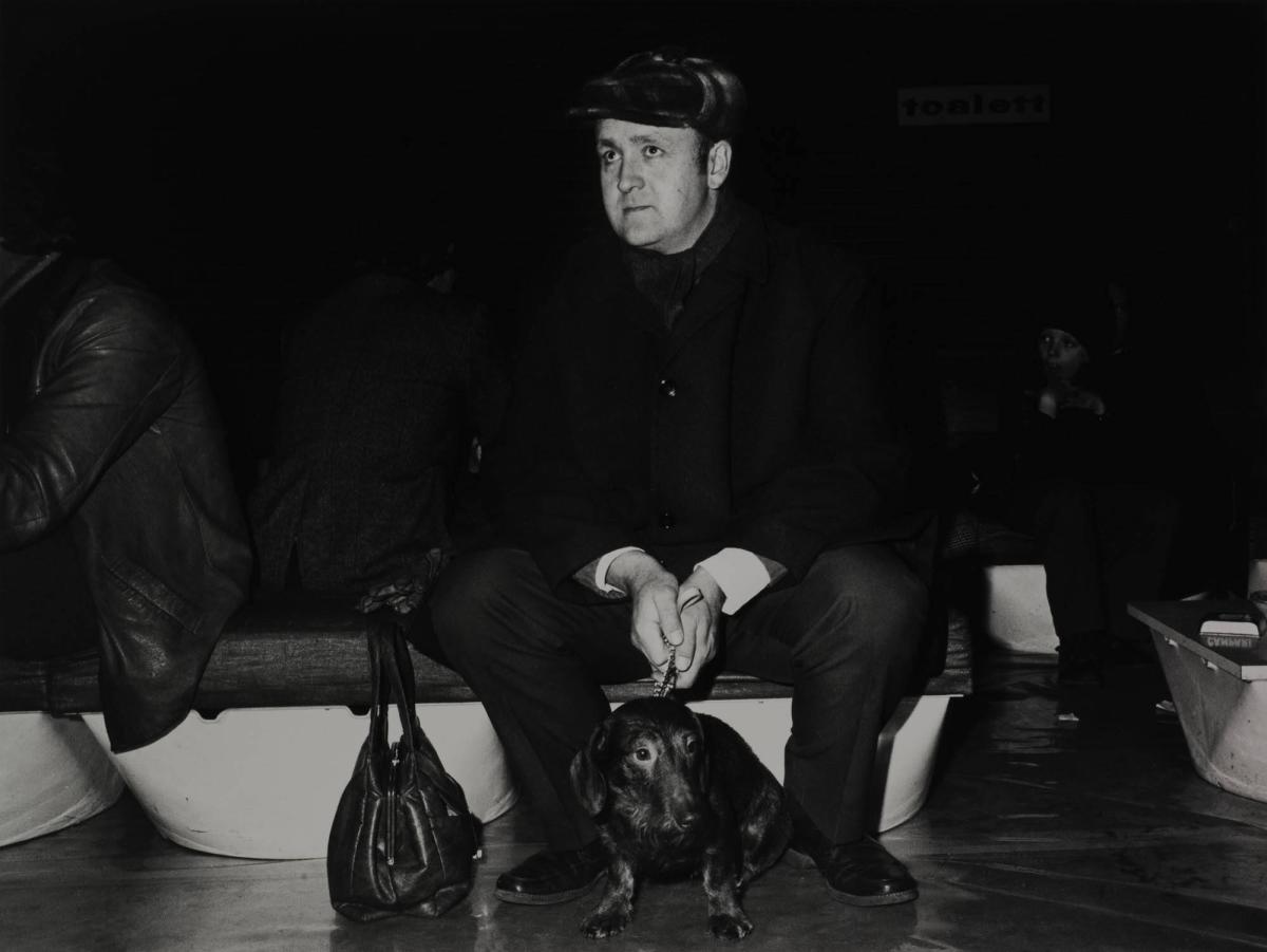 Titel saknas. Ur serien Hundens bästa vän