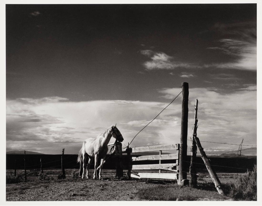 White Horse