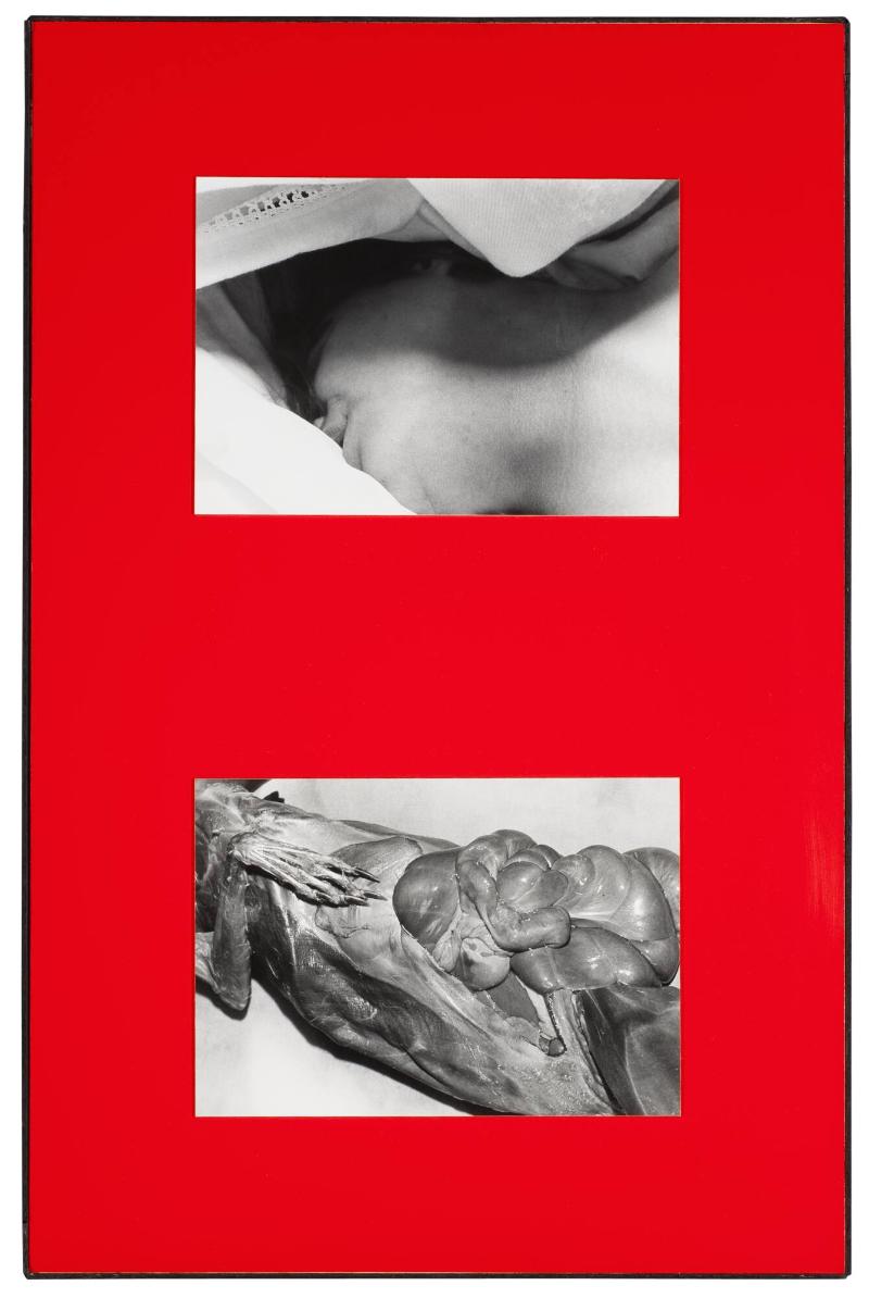 Titel saknas. Ur serien Parasites